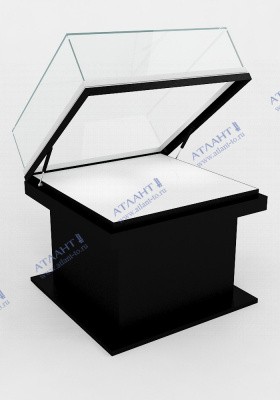 Витрина музейная на газлифтах ВМГ-13