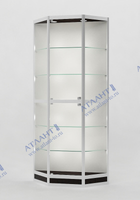 Алюминиевая витрина ВА4-4
